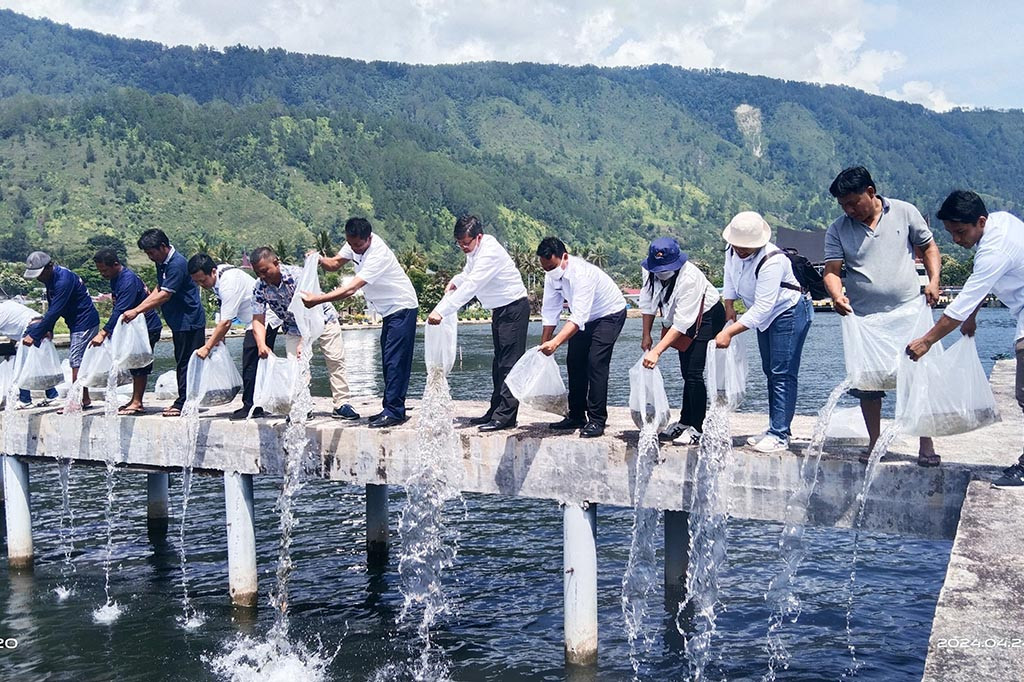 Penaburan benih ikan rutin di Danau Toba kata dia menargetkan 300.000 ekor per tahun, ditambah dengan permintaan-permintaan lain dari pemerintah daerah, organisasi, kelompok maupun masyarakat yang memohon permintaan bibit ikan untuk ditebar di Danau Toba.