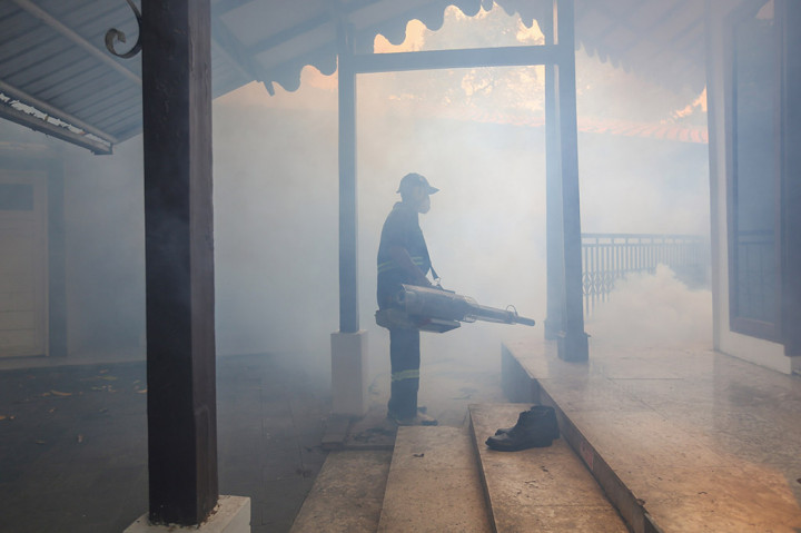 Menurut Direktur Pencegahan dan Pengendalian Penyakit Menular Kementerian Kesehatan (Kemenkes) Imran Pambudi, pada 2023 mereka berhasil menurunkan kasus Demam Berdarah Dengue (DBD) dari 143 ribu ke 115 ribu, namun perubahan iklim pada 2024 membuat kasusnya kembali naik.