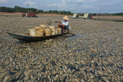 “Semua ikan di waduk Song May mati karena kekurangan air,” kata seorang warga setempat di distrik Trang Bom, yang mengidentifikasi dirinya sebagai Nghia, kepada AFP. “Hidup kami terbalik selama 10 hari terakhir karena baunya.”