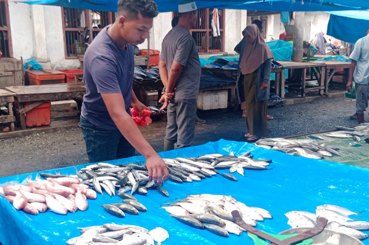 Harga ikan laut segar di kawasan Provinsi Aceh, sejak sepekan terakhir turun drastis. Hal tersebut terjadi karena hasil tangkapan para nelayan di perairan Selat Malaka melimpah ruah.