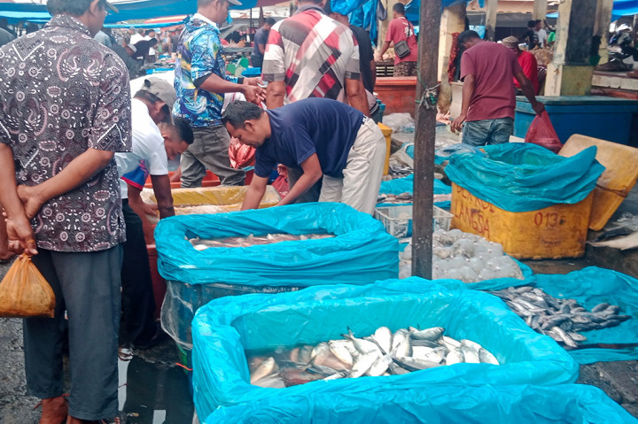 Amatan Media Indonesia, Selasa, 7 Mei 2024 di pasar ikan grosir Pante Teungoh, Kota Sigli, Ibukota Kabupaten Pidie, Provinsi Aceh misalnya, harga ikan tongkol ukuran kecil yang biasanya berkisar Rp25.000- Rp30.000/kg (kilogram), kini turun menjadi Rp10.000-Rp5.000/kg.