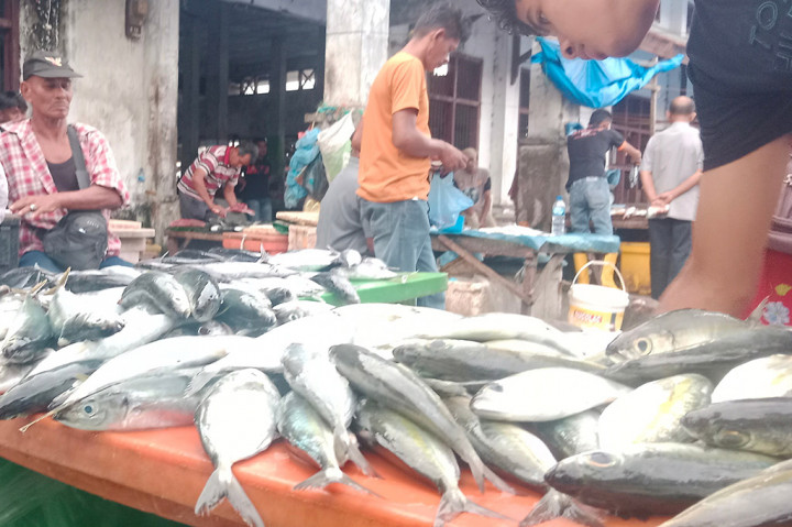 Adapun harga ikan tongkol ukuran sedang dari biasanya Rp35.000/kg, sekarang turun menjadi Rp15.000-Rp10.000/kg.