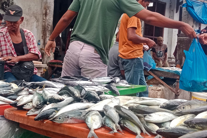 Ikan gembung dari biasanya berkisar Rp30.000-Rp35.000/kg, sekarang turun menjadi Rp15.000-Rp10.000/kg. Lalu ikan dencis dari Rp25.000-Rp30.000/kg, kini turun menjadi Rp10.000-Rp7500/kg.