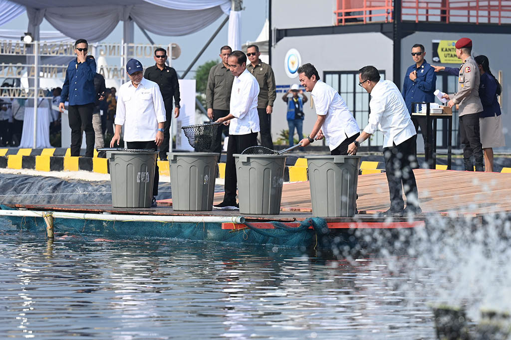 “Saya setuju bahwa dibuat model dulu, modelingnya dulu. Kalau modelingnya sudah benar, yang diinfokan ke saya yang biasanya 1 hektare hanya 0,6 ton per hektare menjadi 80-an ton per hektare. Dan ini nanti akan bisa mengangkut, membuka lapangan kerja yang sangat besar,” ungkap Presiden.