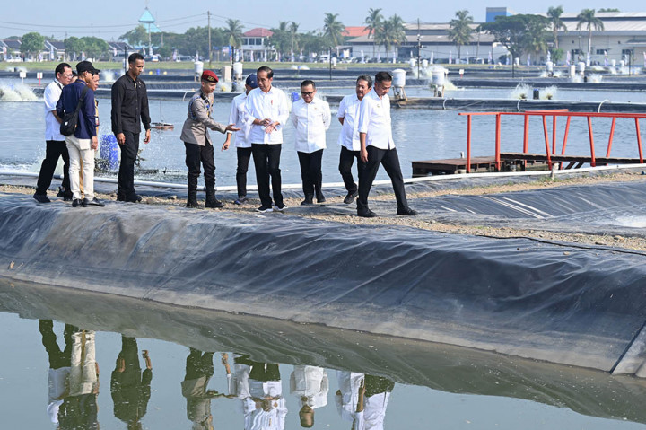 Presiden pun menegaskan pentingnya memanfaatkan potensi tersebut dengan mengalihfungsikan tambak udang yang sudah tidak produktif menjadi tambak ikan nila. Presiden juga mengapresiasi langkah Kementerian Kelautan dan Perikanan (KKP) yang terlebih dahulu membuat model untuk mengetahui manfaat yang akan dihasilkan.