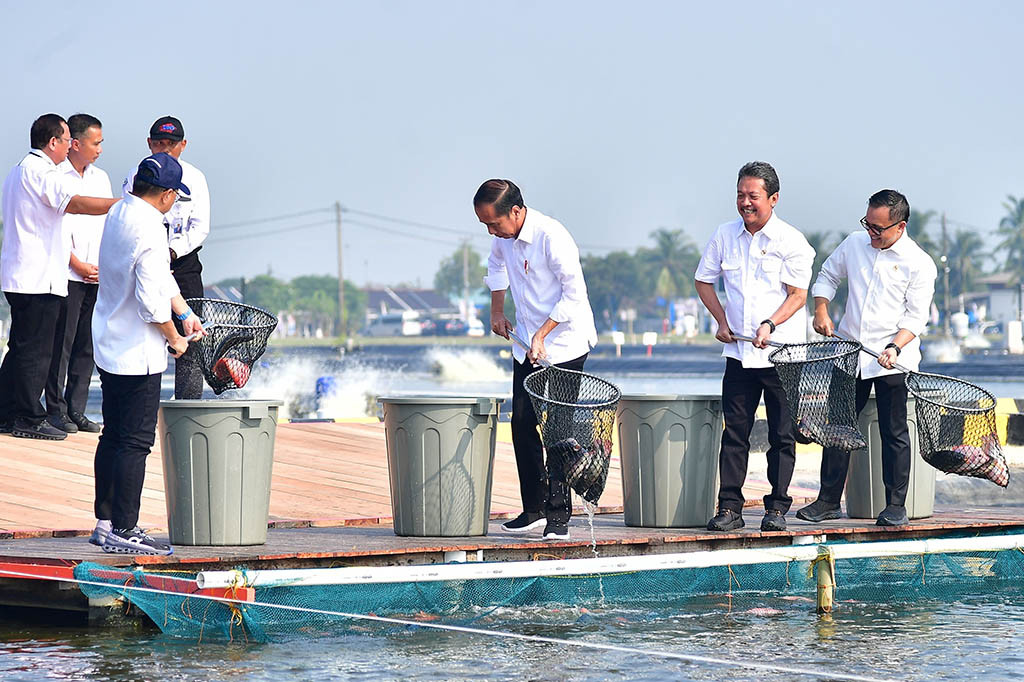 Berdasarkan perhitungan yang telah dilakukan, diperlukan anggaran sekitar Rp13 triliun untuk mengembangkan kawasan tambak tersebut. Meski demikian, Presiden optimistis bahwa anggaran tersebut dapat memberikan kontribusi signifikan dalam menggerakkan ekonomi lokal dan menciptakan lapangan kerja yang luas.