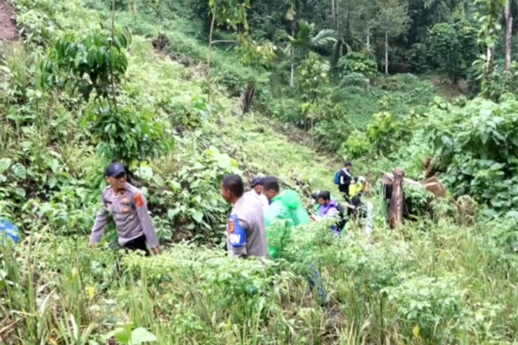 Personel Polres Pidie bersama anggota TNI harus berjalan kaki sekitar satu jam dengan menempuh perjalanan jalan yang terjal untuk sampai di Perbukitan Mane guna memusnahkan ladang ganja tersebut.