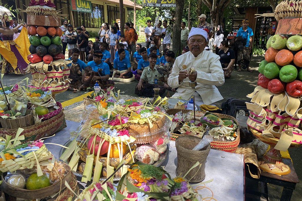 Taman Safari Bali, sebagai salah satu destinasi wisata dan pusat konservasi satwa terkemuka di Indonesia, dengan penuh sukacita menyelenggarakan kembali upacara sakral Tumpek Kandang, Sabtu, 18 Mei 2024.