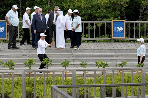 ?Keberadaan panel surya di Tahura Ngurah Rai diadopsi dari proyek panel surya Cirata yang merupakan proyek gabungan antara Indonesia dan Uni Emirat Arab, diluncurkan di Provinsi Jawa Barat beberapa waktu lalu.