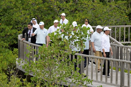 Presiden Joko Widodo (Jokowi) mengajak para delegasi Konferensi Tingkat Tinggi World Water Forum (KTT WWF) Ke-10 meninjau pembibitan mangrove di Taman Hutan Raya (Tahura) Ngurah Rai, di Bali, Senin, 20 Mei 2024.