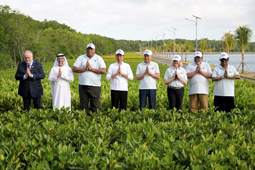 Area itu menyajikan berbagai inovasi instalasi air yang memungkinkan bibit tanaman dapat berkembang subur tanpa bergantung pada perubahan iklim Indonesia. Rumah perkecambahan dirancang khusus dengan fasilitas penyiraman otomatis. Lingkungan ini merupakan pengendalian untuk memastikan kondisi optimal bagi tahap-tahap pertumbuhan dan perkembangan yang rumit.