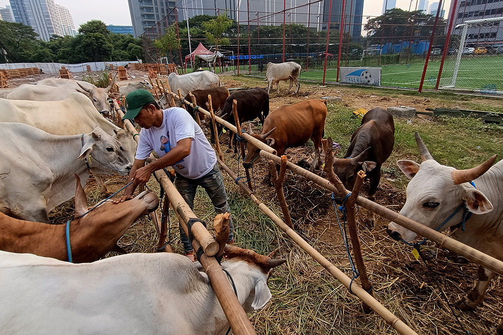 Hari raya Iduladha tahun ini sendiri jatuh pada tanggal 17 Juni 2024. MI/Susanto