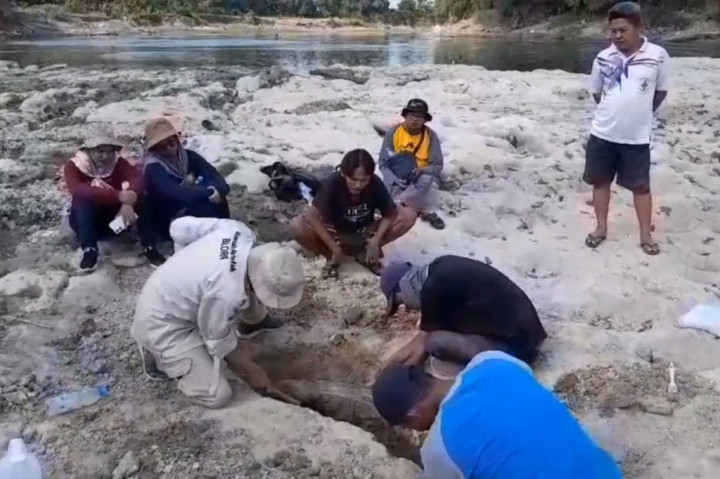 Warga Blora, Jawa Tengah menemukan gading gajah purba sepanjang satu setengah meter di dasar Sungai Bengawan Solo yang mengering. 