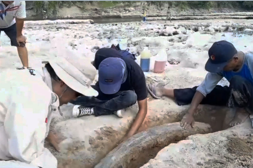 Atas temuan tersebut warga kemudian melaporkan kepada petugas Cagar Budaya Pemkab Blora untuk selanjutnya dilakukan upaya penyelamataan fosil gading tersebut. 