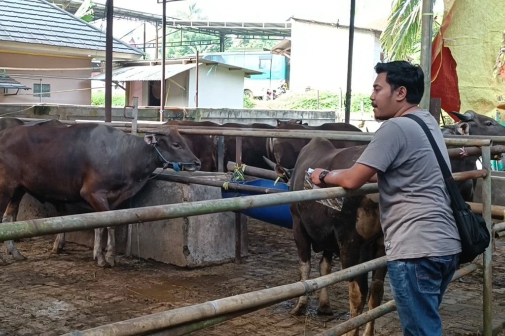 Selain itu, untuk menarik minat pembeli yang datang ke peternakan sapi ini, penjual melakukan pelayanan gratis biaya perawatan dan bahkan gratis biaya pengiriman ke daerah sekitar Banten dan Jakarta.