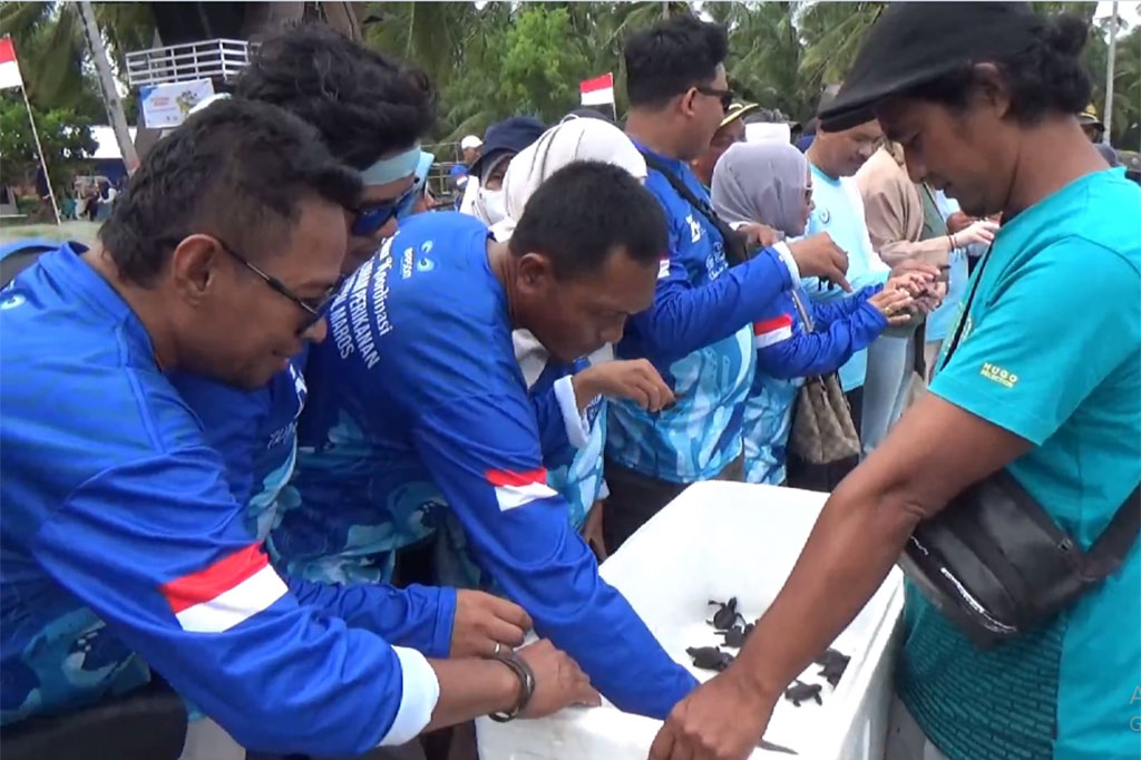 Ketua sahabat penyu Muhammad Yusri mengatakan, peserta ini merupakan tenaga penyuluh pertanian yang berasal dari provinsi yakni Provinsi Sulawesi Barat, Sulawesi Selatan dan Sulawesi tenggara. Kegiatan ini juga merupakan rangkaian ajang prafestival penyu yang akan digelar pada bulan Juni mendatang.