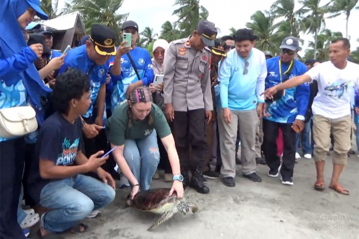 Selain peserta lokal, ada juga peserta warga negara asing asal amerika serikat. Salah satu peserta bernama Hana mengaku sangat senang bisa ikut berpartisipasi dalam kegaiatan ini sebab ia bisa melihat secara langsung hewan penyu.