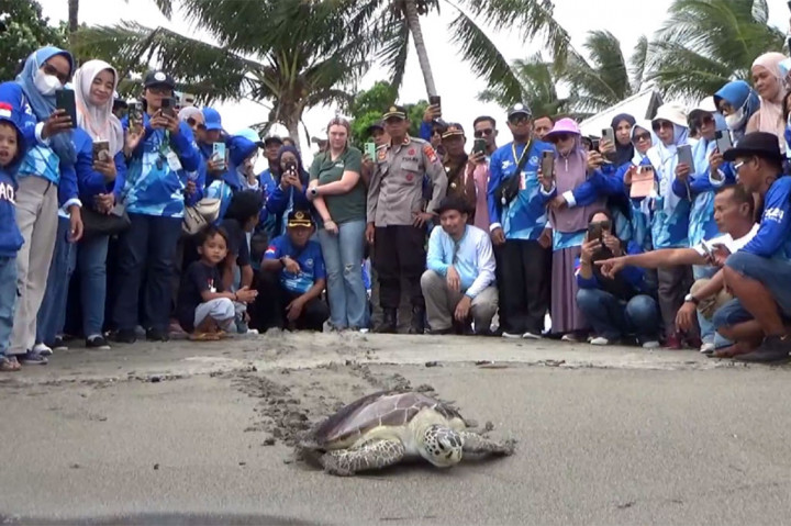 Kepala Balai Pengeloalaan sumber daya pesisir dan laut Makassar Permana Yudiarso mengatakan, kegiatan ini sebagai ajang dan wujud edukasi kepada masyarakat dalam pelaksanaan program prioritas dari Kementerian Kelautan dan Perikanan dalam upaya memperluas konservasi perairan untuk memeri perlindaungan penyu dan habitatnya khususnya di wilayah pesisir. 