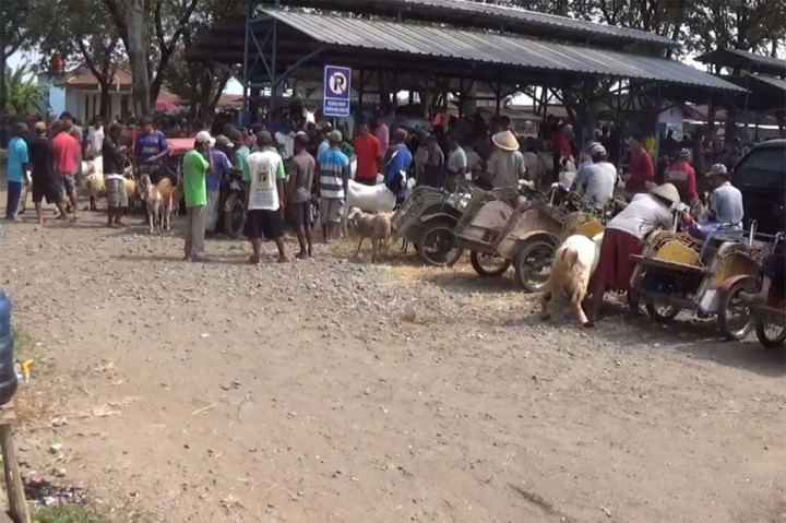 Becak biasanya digunakan sebagai sarana transportasi bagi sebagian masyarakat. Namun berbeda halnya becak yang ada di Kabupaten Kebumen, yang justru digunakan untuk mengangkut hewan kurban seperti kambing ataupun domba.