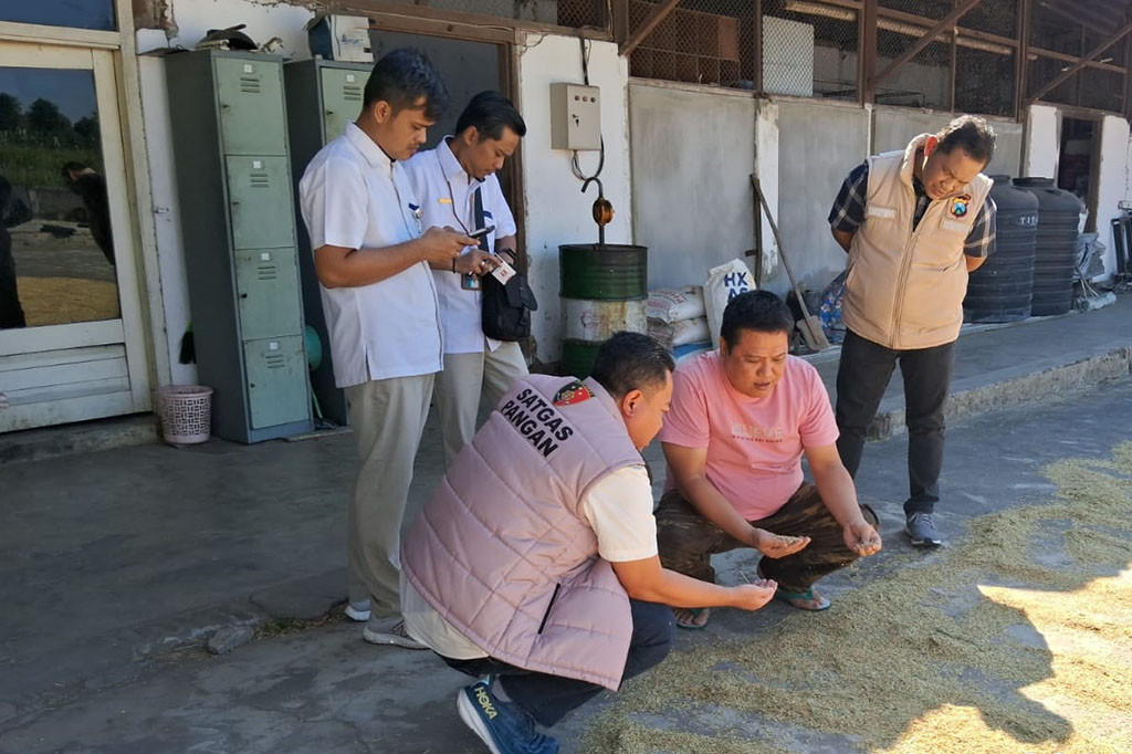Menurut dia, Tim Satgas Pangan yang terjun ke Probolinggo melakukan monitoring penggilingan beras mitra Bulog. Di antaranya Kementerian Pertanian RI, Bulog Pusat, Satgas Pangan Bareskrim serta Satgas Pangan dari daerah.