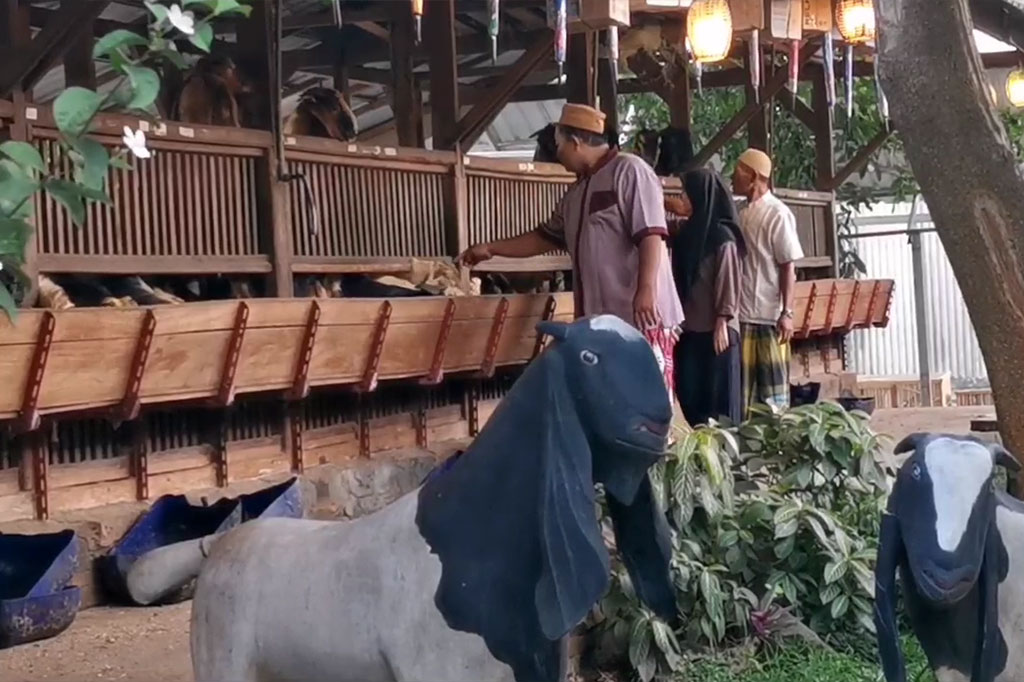 Kandang kambing bak villa ini berada di Dusun Pohjejer, Desa Bulang Kecamatan Prambon Kabupaten Sidoarjo. Sekeliling kandang adalah taman, yang selain indah juga menambah kebugaran serta kesehatan ternak kambing.