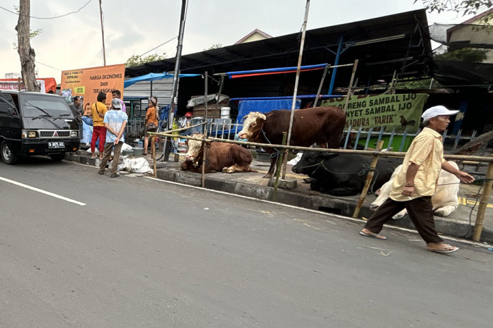 Dari pantauan di lapangan, terlihat trotoar yang seharusnya dijadikan tempat pejalan kaki kini menjadi tempat dagang hewan kurban. Sejumlah tenda-tenda juga didirikan di atas trotoar dan trotoar juga dikotori dengan tanah.