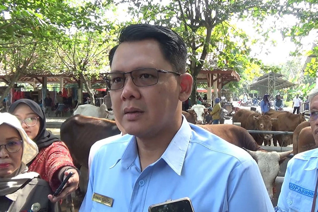 Untuk Kabupaten Sleman, jelasnya, data per 3 Juni 2024 tersedia 8.450 ekor sapi, 3.122 ekor kambing dan 10.028 ekor domba. Sedangkan estimasi kebutuhan, kata Danang, 9.800 ekor sapi, 2.700 ekor kambing dan 12.100 ekor domba.