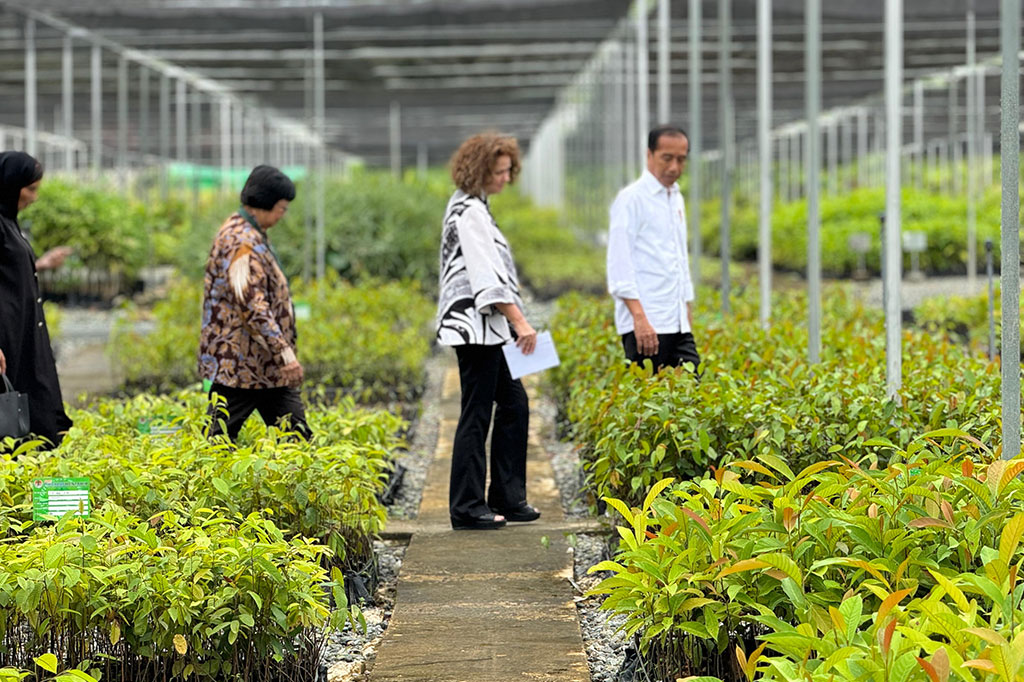 Presiden Joko Widodo meresmikan sejumlah pembangunan infrastruktur di Ibu Kota Nusantara (IKN) di Kalimantan Timur, Selasa, 4 Juni 2024. Di antaranya fasilitas persemaian Mentawir, Penajam Paser Utara, Kalimantan Timur, sebagai pusat program penghijauan IKN dan sekitarnya.