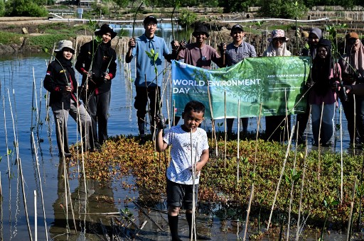 Aktivis lingkungan menanam bibit pohon mangrove di pesisir Pantai Lampulo Banda Aceh dalam rangka memperingati Hari Lingkungan Hidup Sedunia 2024.