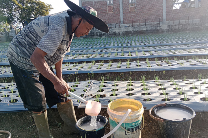 Tempat tersebut merupakan kawasan pesisir selatan Malaka yang stuktur tanahnya gembur dan bercampur pasir. Desuai pengalaman petani setempat sangat cocok untuk tanaman bawang merah.