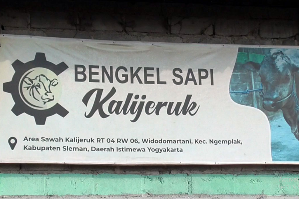 Namanya memang bengkel sapi. Berlokasi di Dusun Kalijeruk, Widodomartani, Ngemplak, Sleman, DI Yogyakarta. Di bengkel ini, sapi-sapi yang kurus atau sakit-sakitan dijamin akan menjadi sapi yang gemuk dan sehat.
