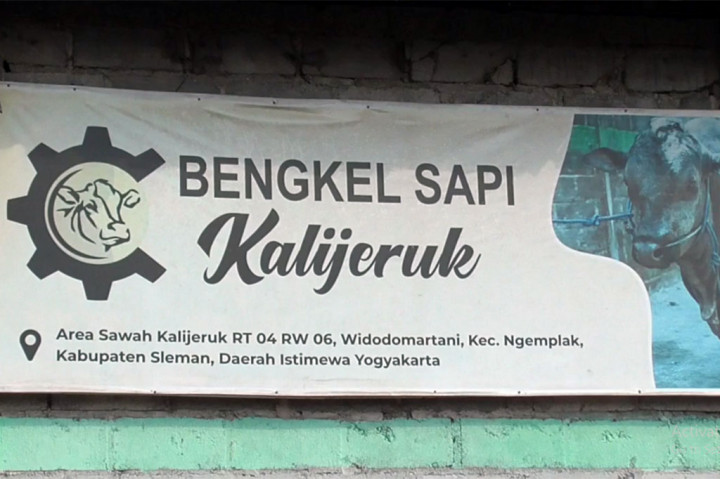 Namanya memang bengkel sapi. Berlokasi di Dusun Kalijeruk, Widodomartani, Ngemplak, Sleman, DI Yogyakarta. Di bengkel ini, sapi-sapi yang kurus atau sakit-sakitan dijamin akan menjadi sapi yang gemuk dan sehat.