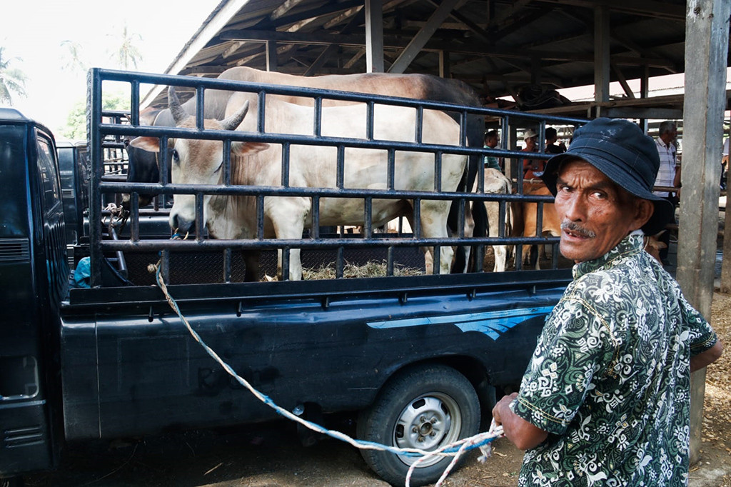 Persediaan ternak untuk pelaksanaan tradisi meugang Hari Raya Iduladha 1445 Hijriah di Aceh mencapai 52.032 ekor. Persediaan tersebut merupakan hasil pendataan dari 23 kabupaten/kota se-Aceh.