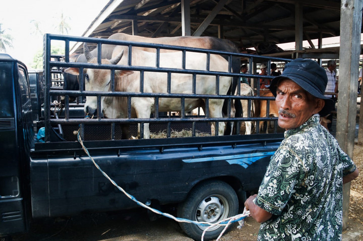 Persediaan ternak untuk pelaksanaan tradisi meugang Hari Raya Iduladha 1445 Hijriah di Aceh mencapai 52.032 ekor. Persediaan tersebut merupakan hasil pendataan dari 23 kabupaten/kota se-Aceh.
