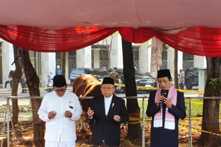 Wapres berkurban sapi jenis limosin di Masjid Istiqlal. Beratnya sekitar 1,16 ton.
