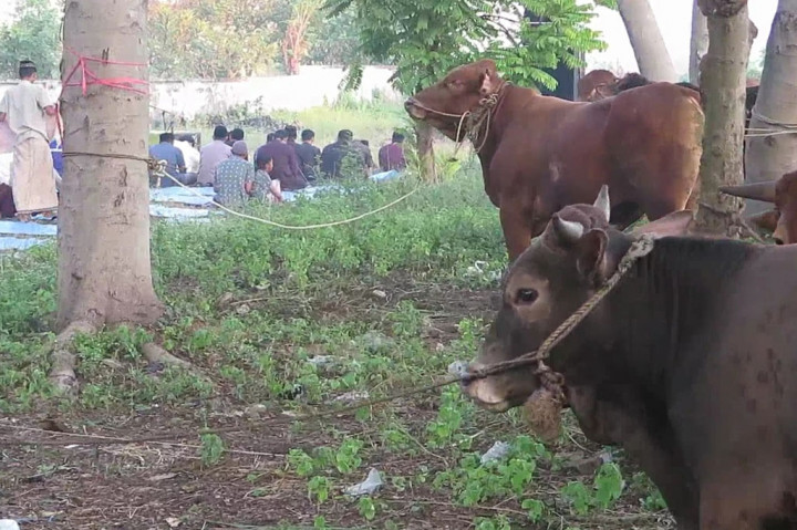 Salat Iduladha ini memang juga sebagai momen, bagi para warga eks korban lumpur untuk silaturahmi. Mereka terlihat khidmat menjalankan salat Iduladha tahun ini.