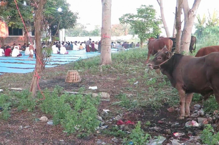 Meskipun sudah ditinggalkan warga yang hidup berpencar, masjid di dekat tanggul penahanan lumpur ini memang masih aktif. Di Iduladha tahun ini, masjid ini juga memotong hewan kurban.