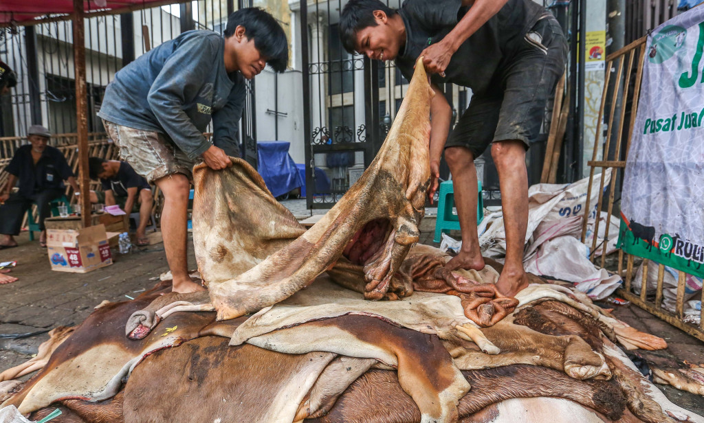 Dalam dua hari musim kurban biasanya para pengepul dapat menghasilkan 500 kg hingga 1,5 ton kulit, yang nantinya akan dijual kepada pengusaha beduk, jaket, dan kerupuk.