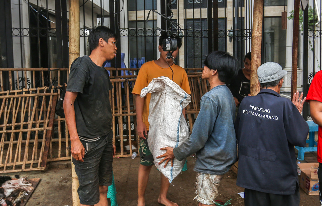 Para pengepul menghargai kulit hewan kurban dengan kisaran Harga Rp5 ribu hingga Rp6 ribu per kilo untuk kulit sapi dan Rp10 ribu hingga Rp17 ribu per lembar untuk kulit kambing. 