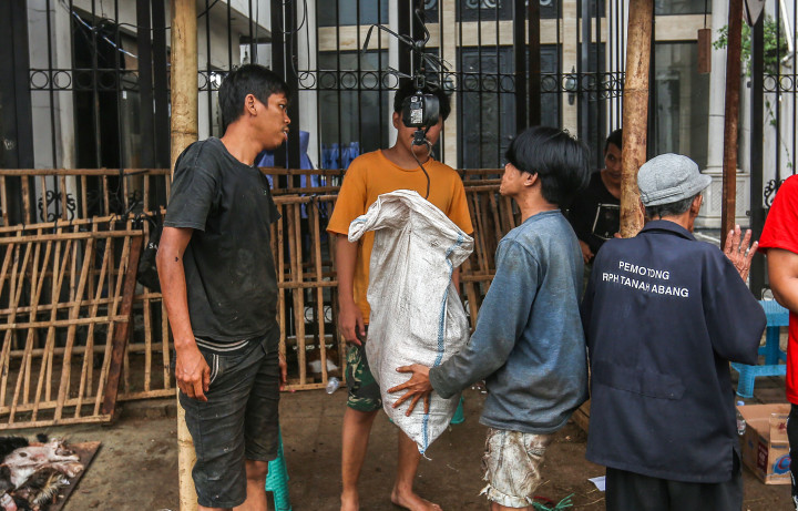 Para pengepul menghargai kulit hewan kurban dengan kisaran Harga Rp5 ribu hingga Rp6 ribu per kilo untuk kulit sapi dan Rp10 ribu hingga Rp17 ribu per lembar untuk kulit kambing. 