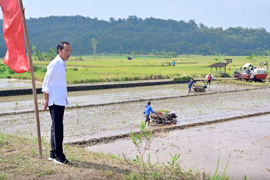  Presiden Joko Widodo meninjau pelaksanaan pemberian bantuan pompa air untuk pengairan sawah dan pertanian atau pompanisasi di Provinsi Jawa Tengah pada Rabu, 19 Juni 2024. 