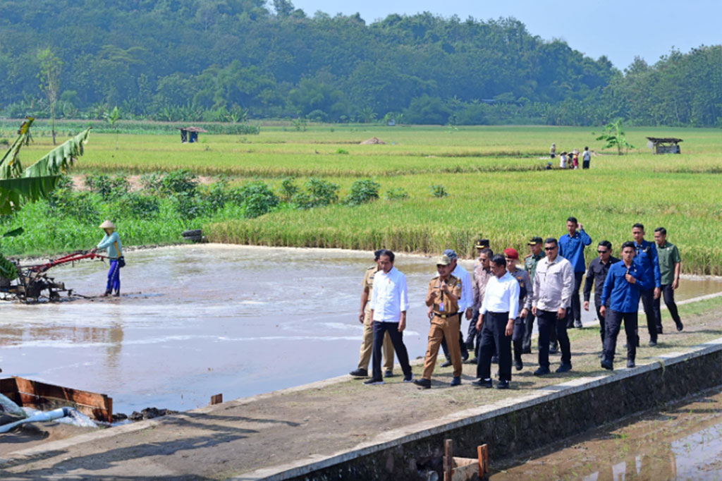 Dalam keterangannya di Desa Krendowahono, Kecamatan Gondang Rejo, Kabupaten Karanganyar, Presiden menyebut bahwa pompanisasi ini bagian dari upaya pemerintah untuk mengatasi potensi kekeringan panjang yang diperkirakan akan terjadi dalam beberapa bulan ke depan.