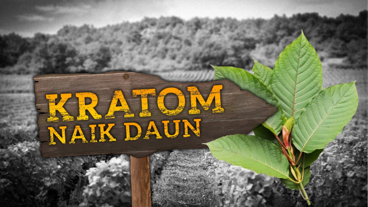 Kratom Naik Daun