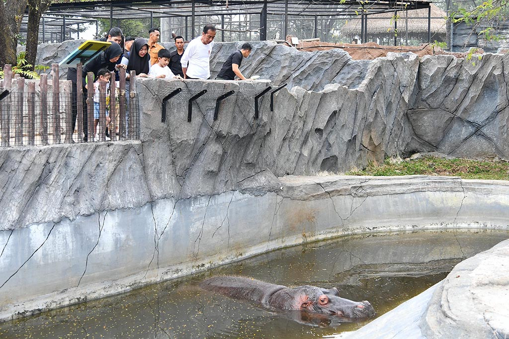 Pantauan di Solo, Jawa Tengah, Minggu, 23 Juni 2024, rombongan tersebut tiba sekitar pukul 13.00 WIB. Selama di dalam Solo Safari, ketiganya yang kompak mengenakan baju putih berkunjung ke masing-masing kandang satwa.