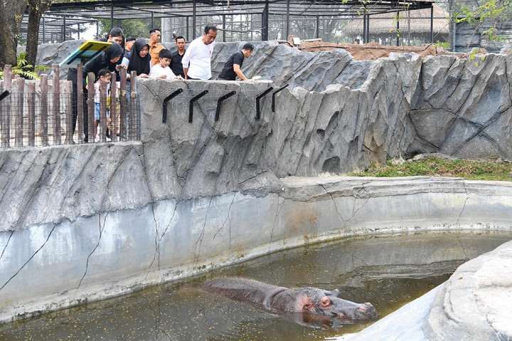 Pantauan di Solo, Jawa Tengah, Minggu, 23 Juni 2024, rombongan tersebut tiba sekitar pukul 13.00 WIB. Selama di dalam Solo Safari, ketiganya yang kompak mengenakan baju putih berkunjung ke masing-masing kandang satwa.