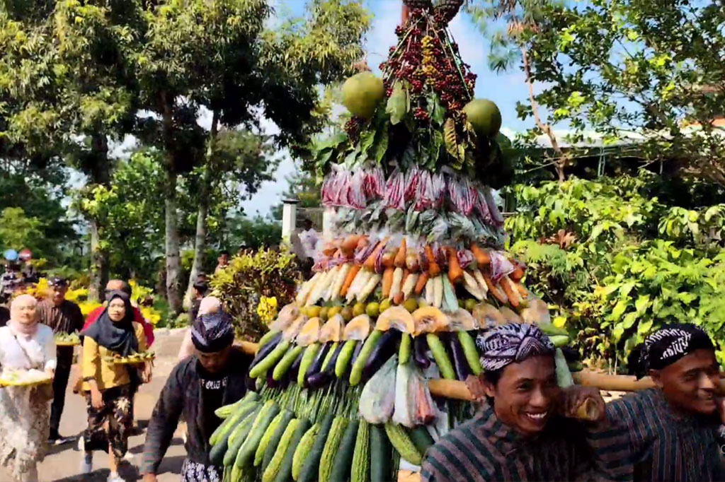 Sementara Manager Agro Wisata Kebun Jollong, Triyono, mengatakan, kegiatan ini rutin diadakan setiap tahun sebagai tanda panen raya kopi. Selain sebagai bentuk rasa syukur, warga juga berharap ke depannya hasil pertanian mereka lebih melimpah lagi.