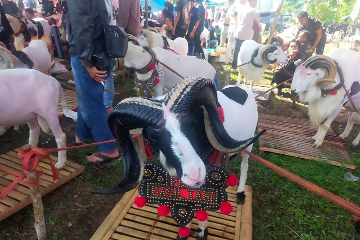 Pemerintah Kabupaten Tasikmalaya, Jawa Barat terus berupaya melestarikan potensi wisata alam dan pariwisata unggulan yang ada di berbagai daerah untuk menjadi sumber pendapatan asli daerah (PAD) dan mengembangkan peternak domba maupun kambing yang tersebar di 39 Kecamatan.