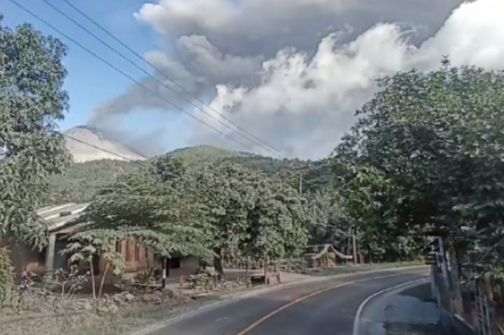 Ratusan hektar lahan pertanian warga di Kabupaten Sikka, NTT gagal panen akibat terpapar abu vulkanik Gunung Lewotobi Laki-laki.