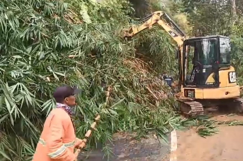 Camat Salawu, Nandang Haryana mengatakan, hujan deras yang terjadi sejak malam telah menyebabkan tebing setinggi 10 meter longsor membawa bongkahan bambu tumbang dan menutup badan jalan hingga tadi pagi longsor susulan kembali terjadi. Namun, proses evakuasi bongkahan pohon bambu dan material longsor langsung dilakukan petugas gabungan BPBD, TNI, Polri dan masyarakat dibantu ekskavator.