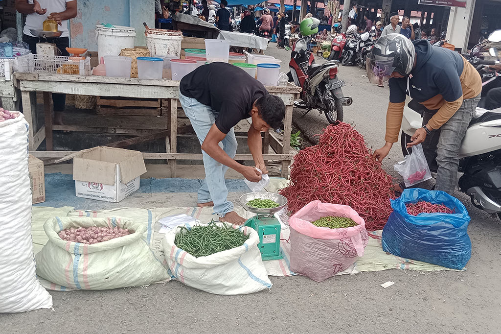 Turunnya dua jenis bahan bumbu masak itu diduga karena permintaan cabai merah berkurang seiring berakhir Iduladha 1445 H. Lalu terkait dengan landainya harga bawang merah karena petani bawang lokal mulai memasuki awal musim panen.
